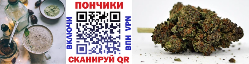 Купить закладки  Пудож  Печенье с ТГК конопля 
