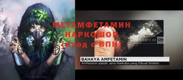 гидра Ельня