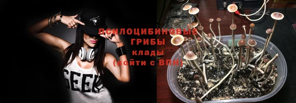 гидра Ельня