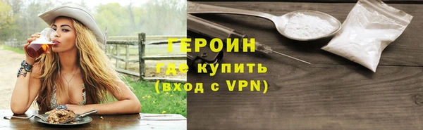 гидра Ельня