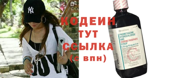 гидра Ельня