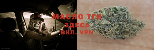 гидра Ельня