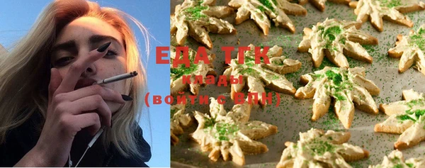 гидра Ельня
