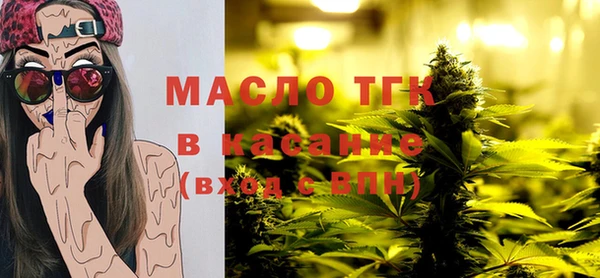 гидра Ельня