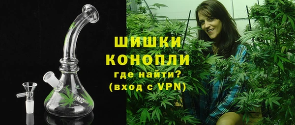 гидра Ельня