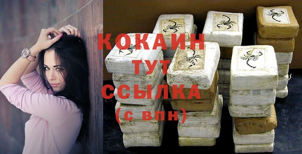 гидра Ельня