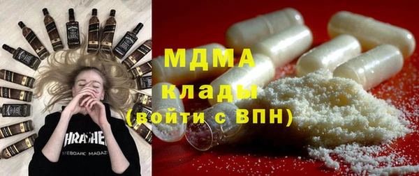 гидра Ельня