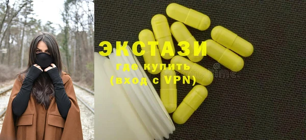 гидра Ельня