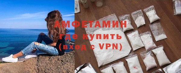 гидра Ельня