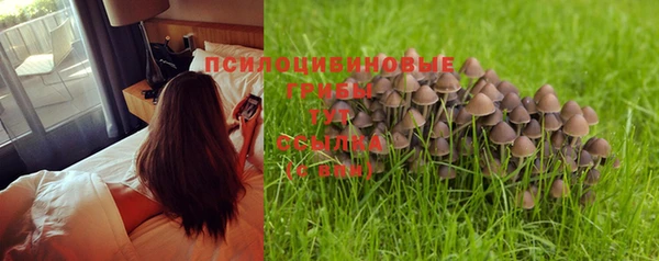 гашишное масло Елабуга