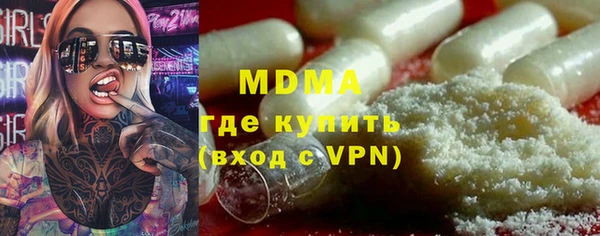 гидра Ельня