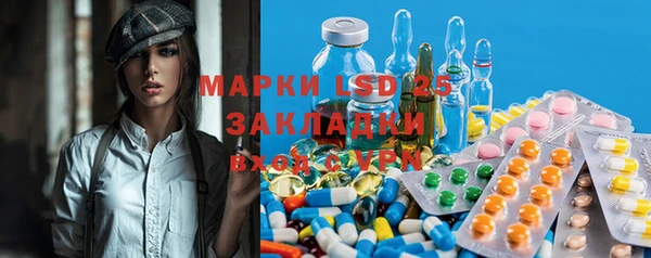 гидра Ельня