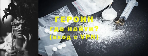 гидра Ельня